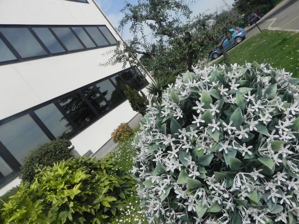 Hotel Il Maglio Imola Esterno foto