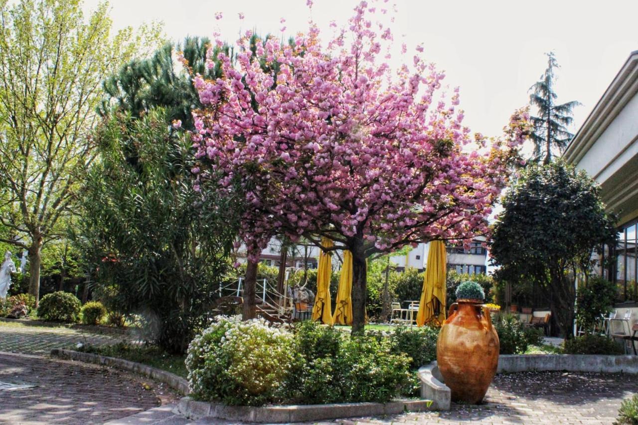 Hotel Il Maglio Imola Esterno foto