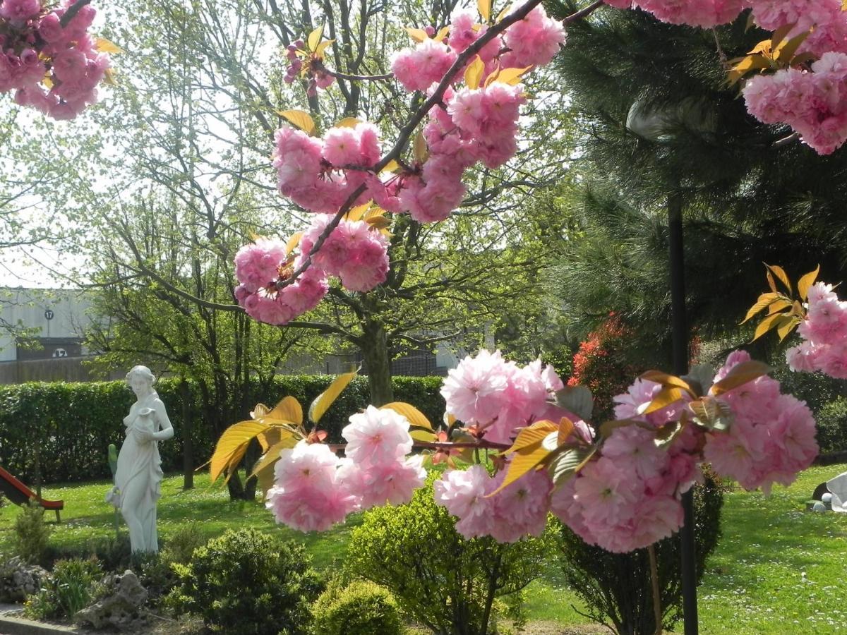 Hotel Il Maglio Imola Esterno foto